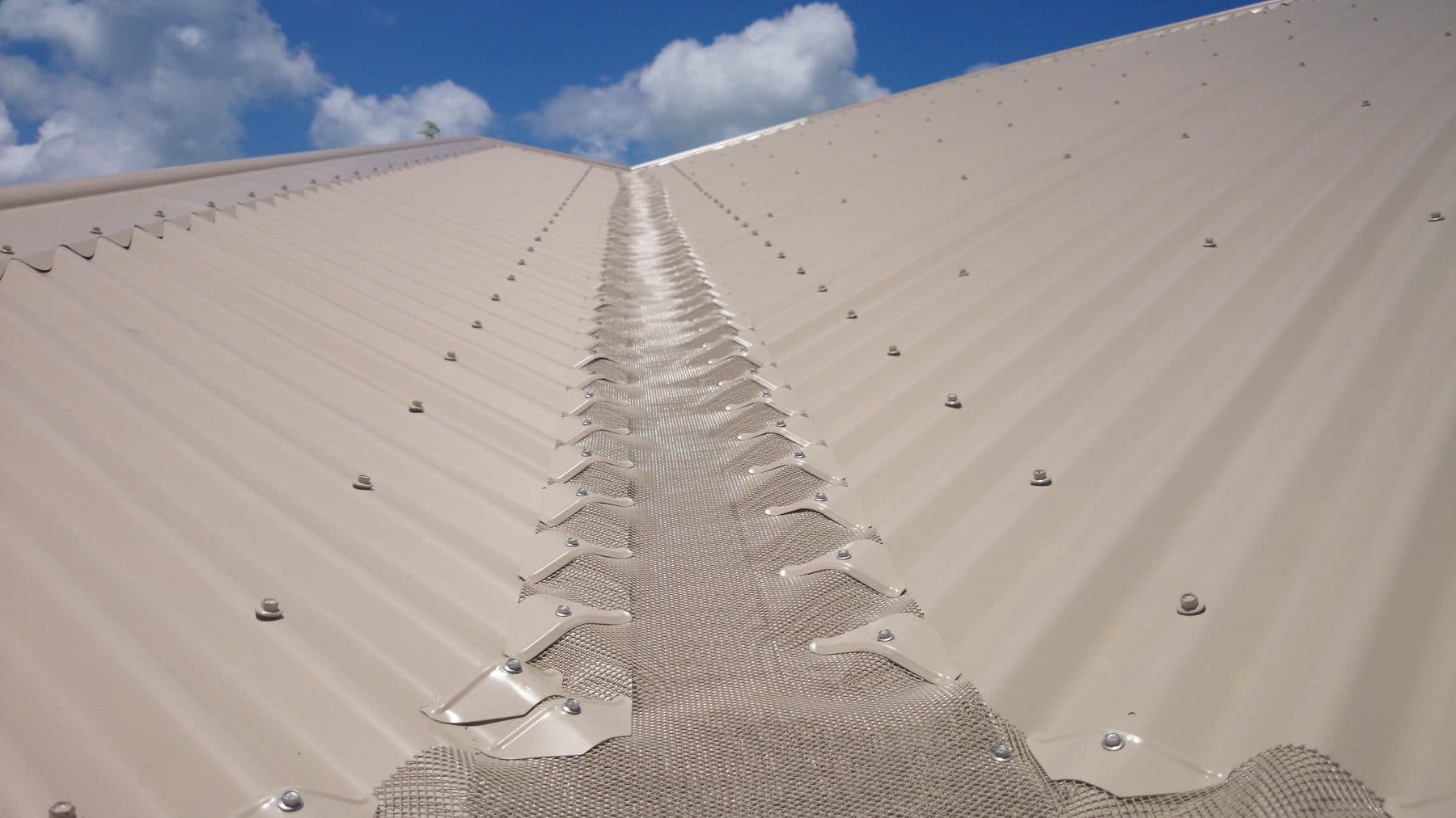 Gutter guard mesh fitted along the ridge of a cream Colorbond metal roof under a clear Queensland sky